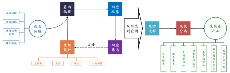 图片21